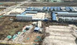 南京南最新爆料,揭秘神秘事件背后的真相